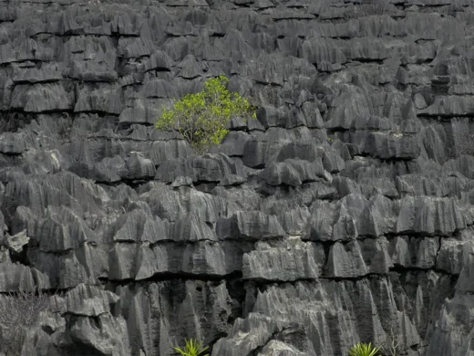 gomadatoursnosybe-excursion-nord-de-madagascar-03
